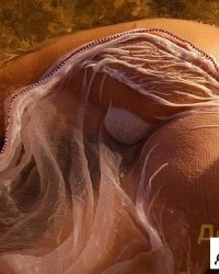 Киска и ее сиськи поздним вечером на пляже