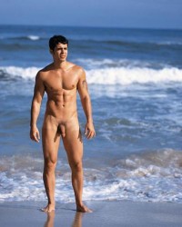 Голые мужчины на пляже перед (27 фото)