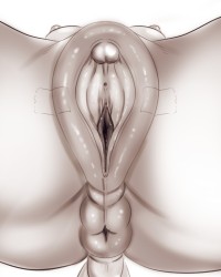 Анатомия вагины порно (68 фото)