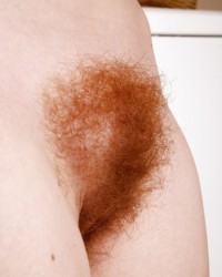 Небритая рыжий лобок (52 фото)