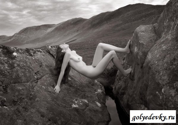 Одинокая тёлочка на камнях