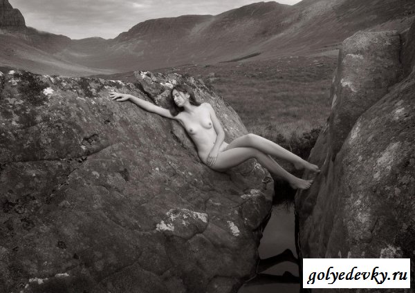 Одинокая тёлочка на камнях