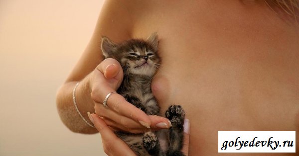 Блондинка и маленькая киска (11 фото)