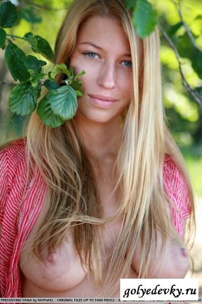 Приятные нежные сиськи телочки