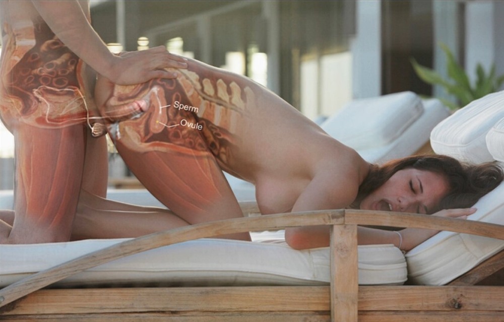 Анальный половой акт в разрезе