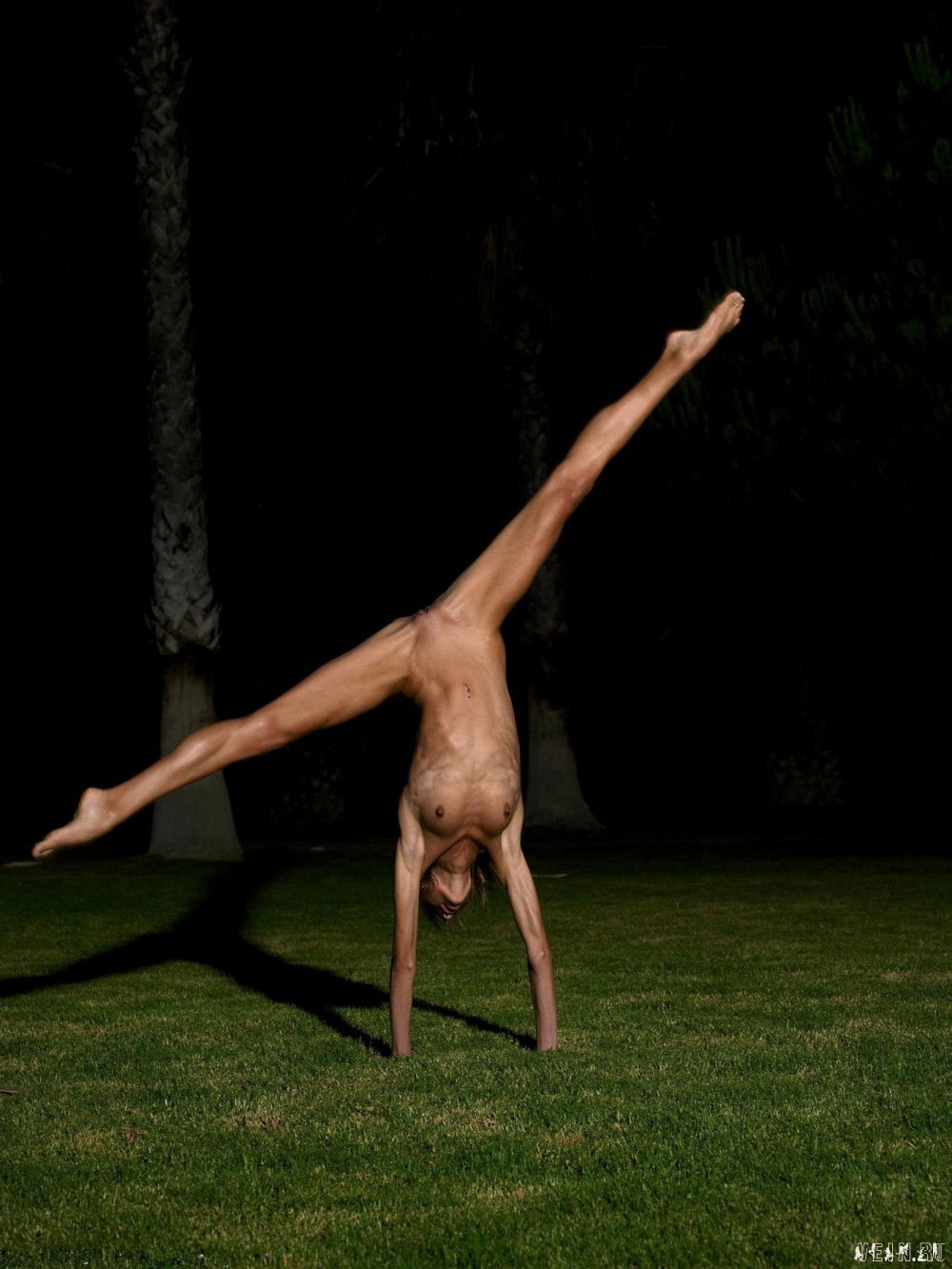 Порнографический цирк