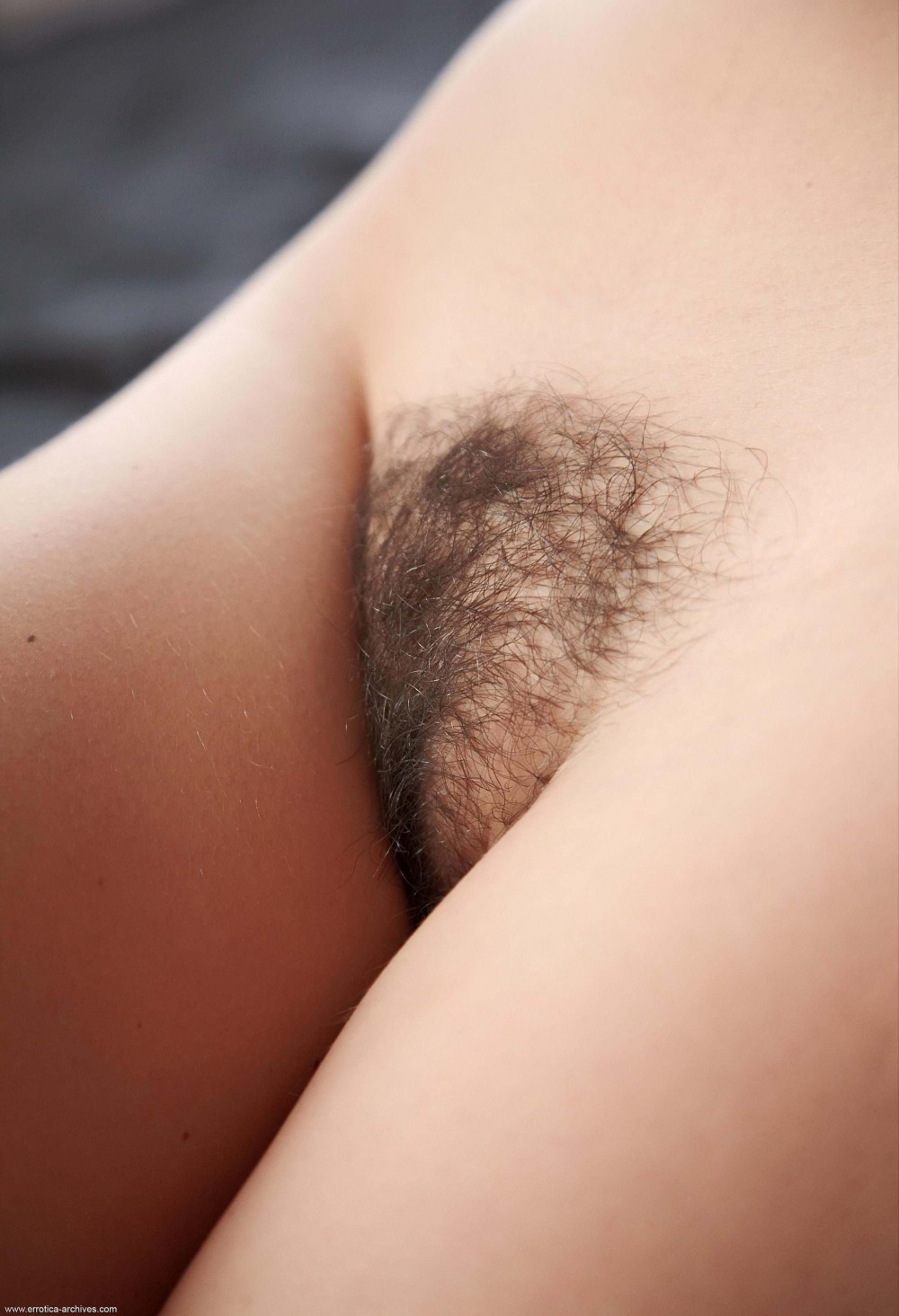 Красивый волосатый лобок