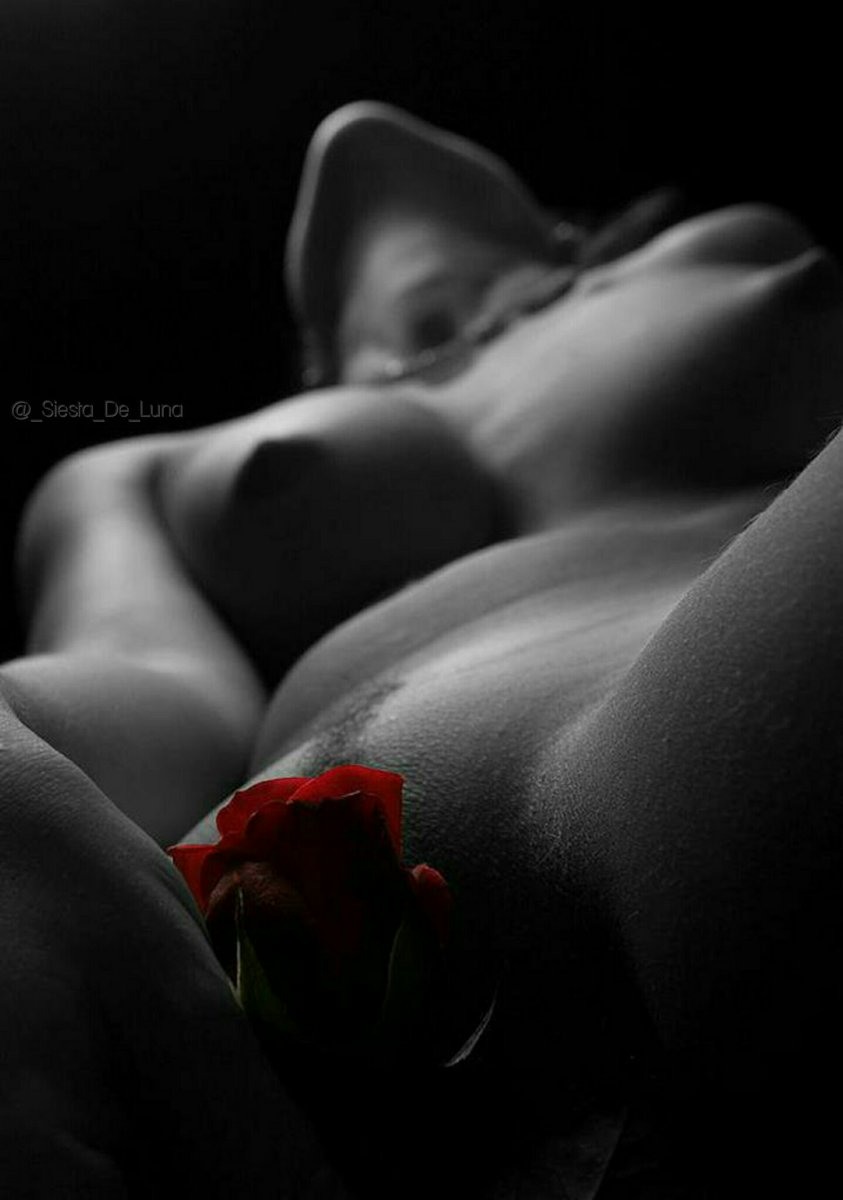 Ночная бабочка эротика (61 фото)