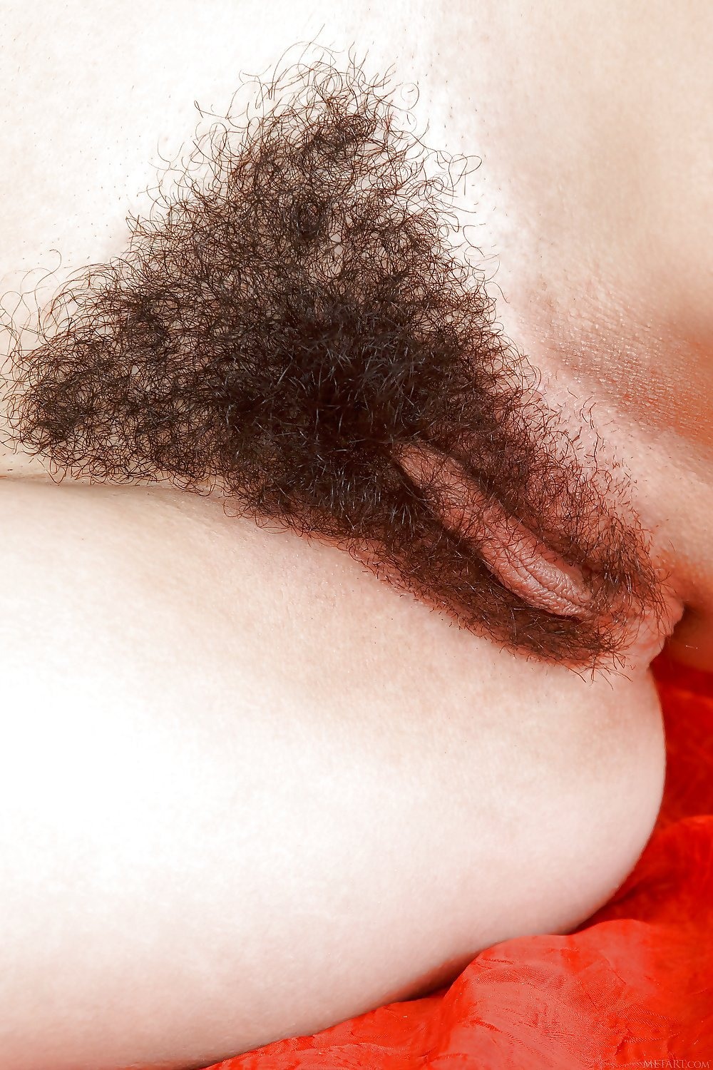 Красивые волосатые пилотки