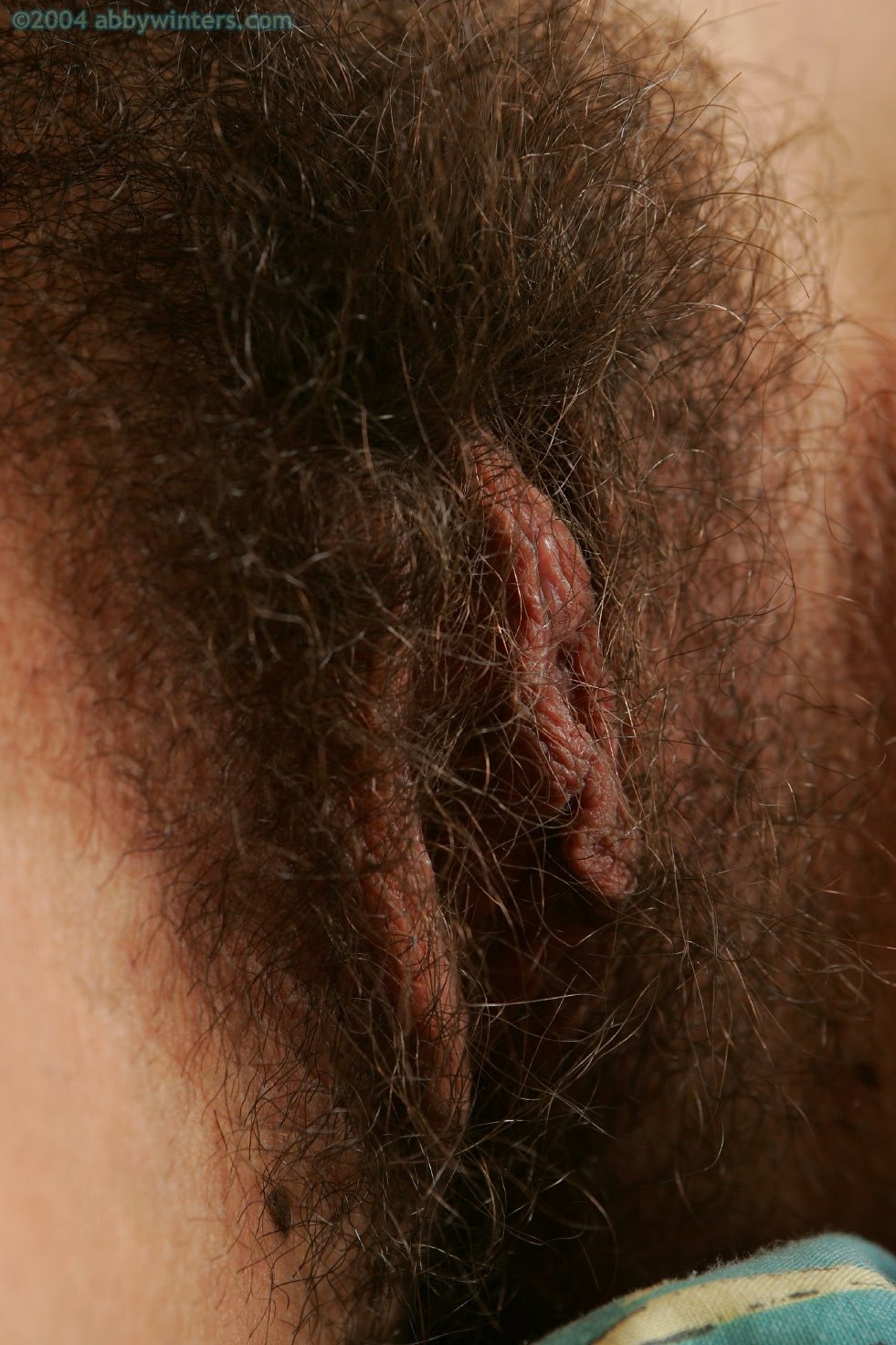 Волосатая вагина с длинными волосами