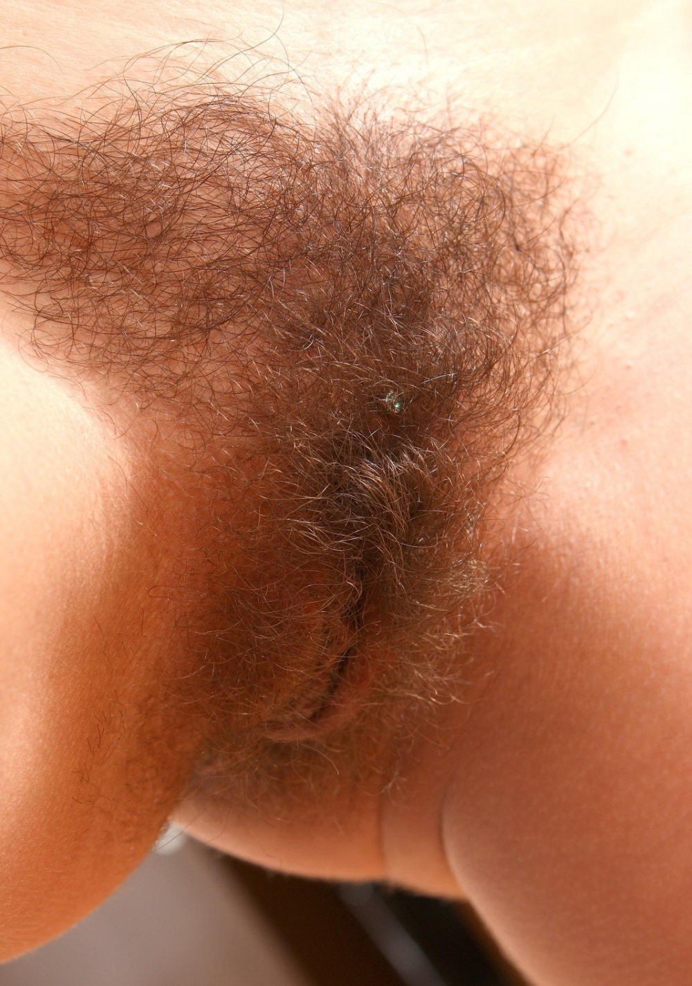 Красивые волосатые женские лобки