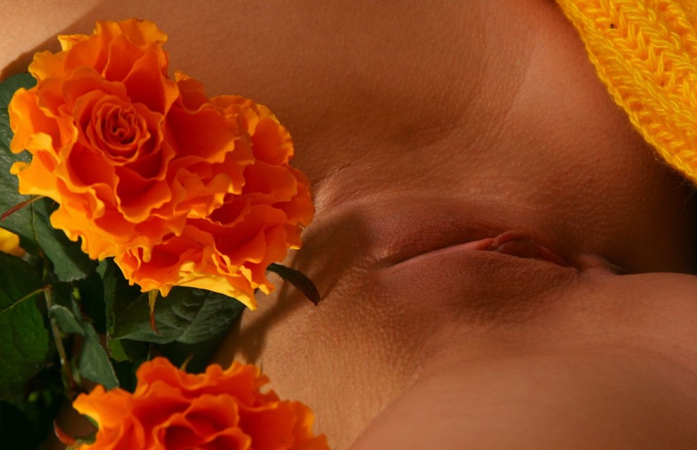 Трах с красивыми телками