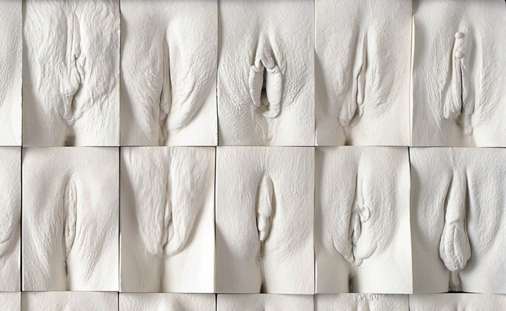 Формы женских гениталий