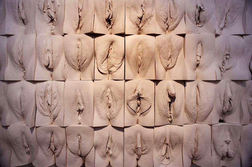 Красивая вульва вид сзади