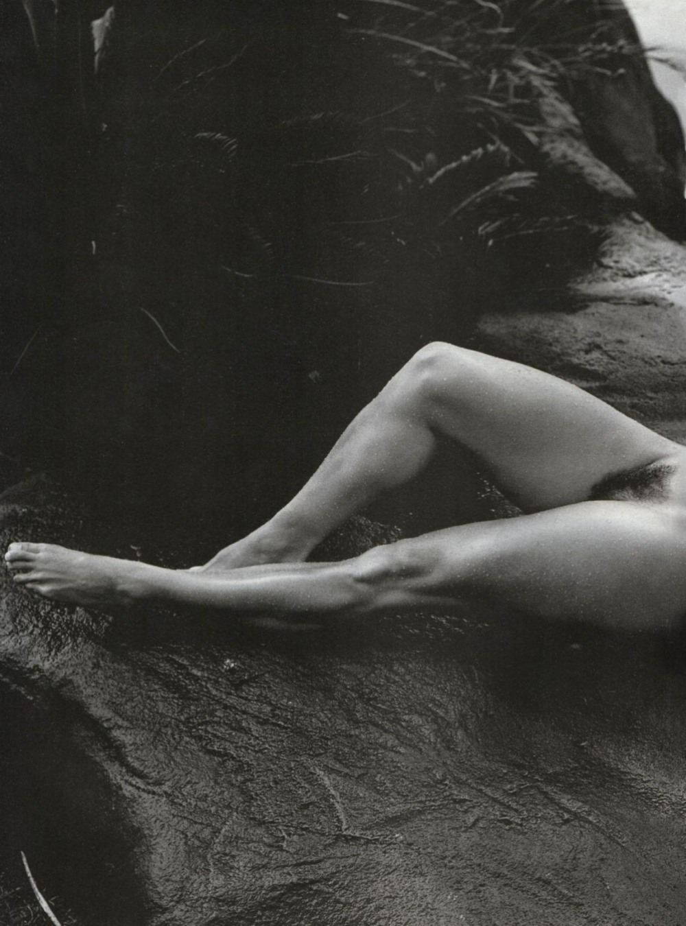 Модель Катарина плейбой