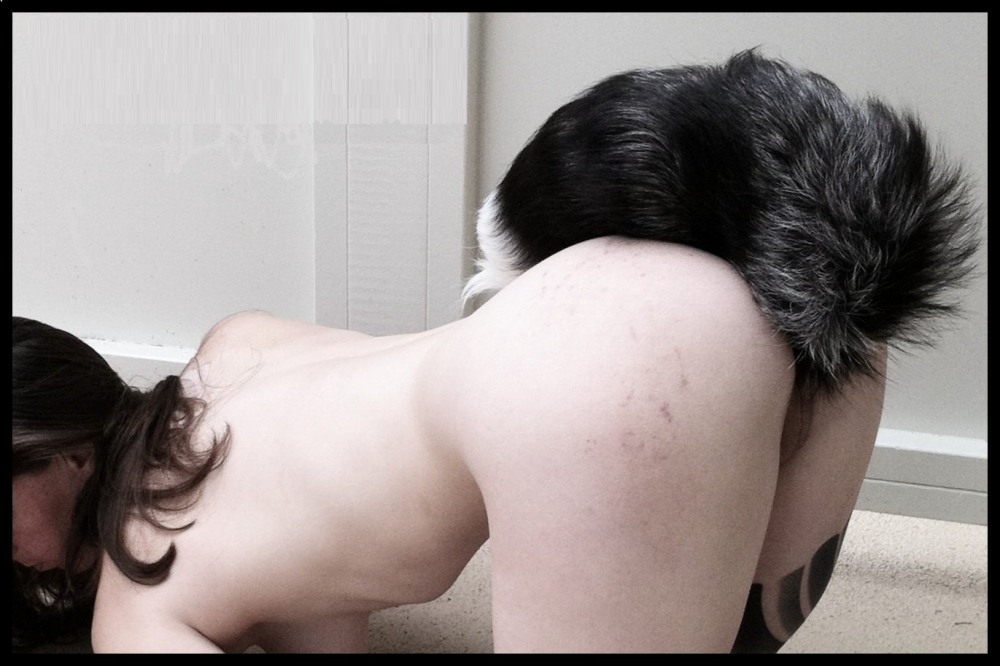 Анальные пробки с хвостиком в попке