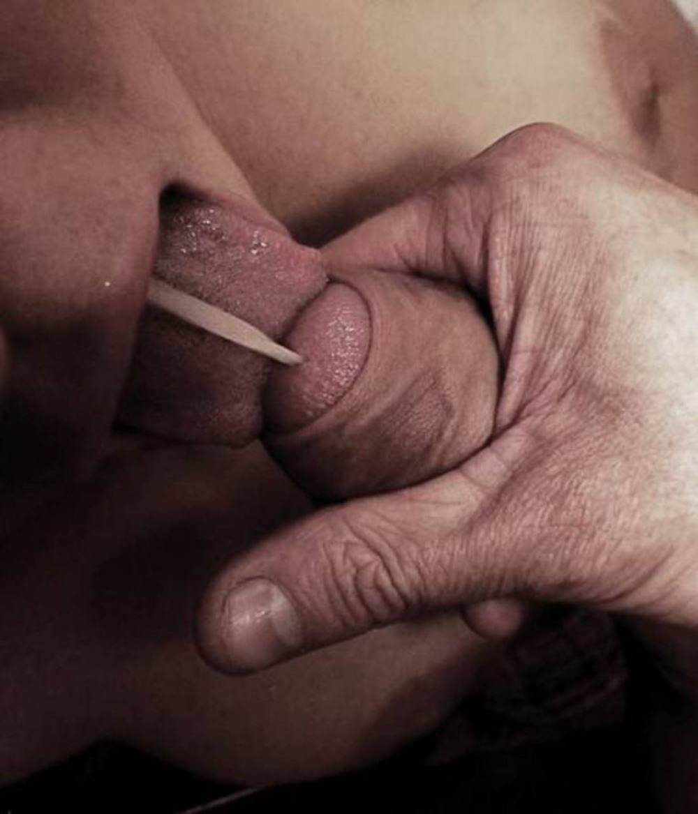 Оральные ласки половых органов