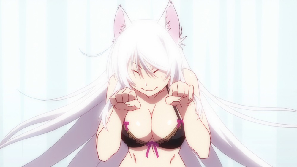 Плачущий кот Мем фак