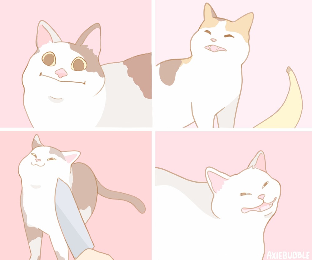 Кот Мем