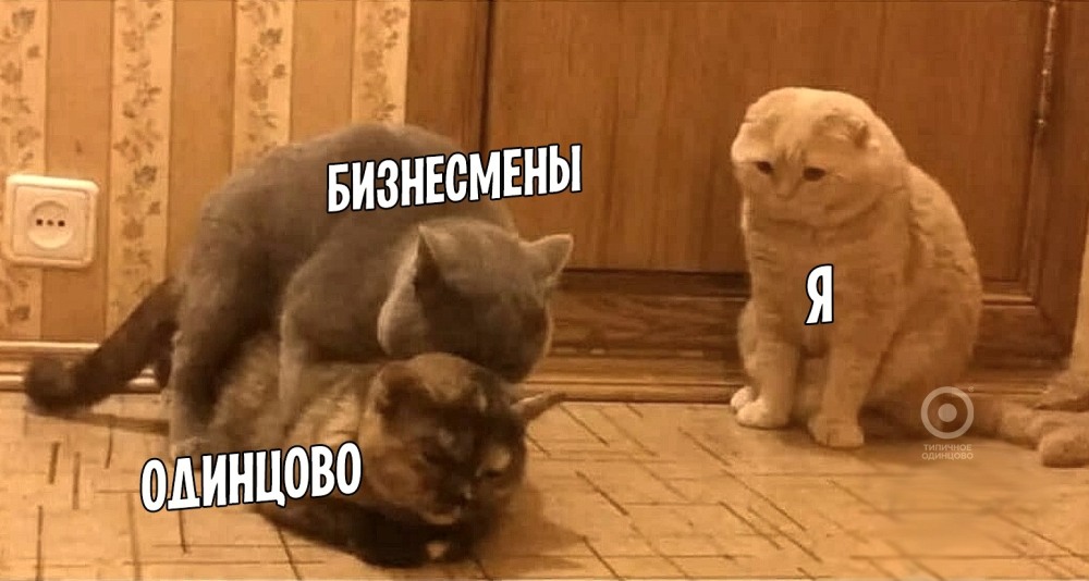 Спаривание кошек