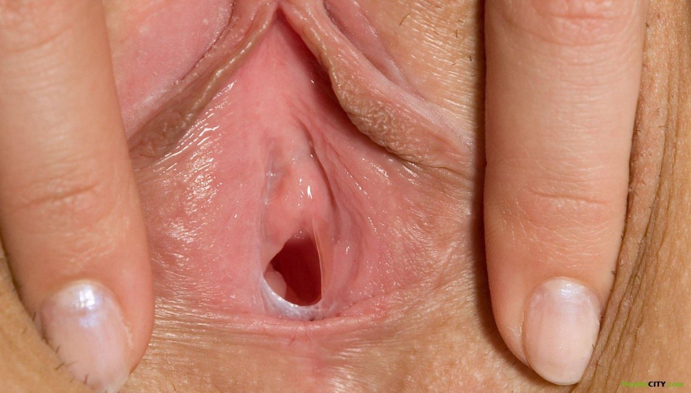 Красивые женские писечки