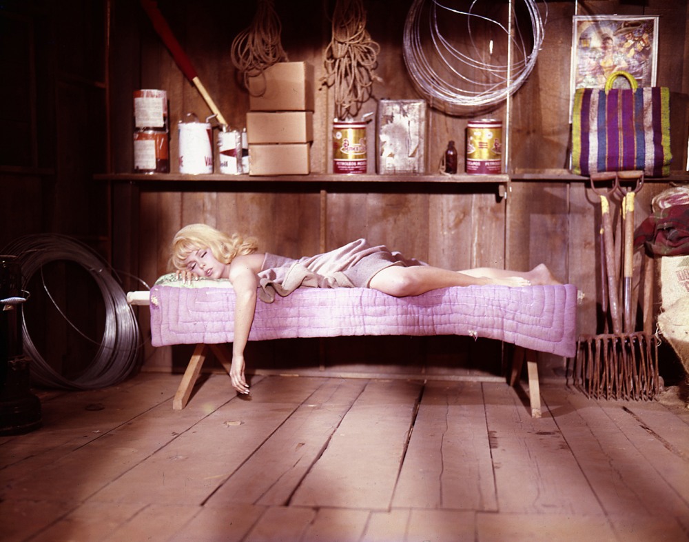 Энн Фрэнсис в белье