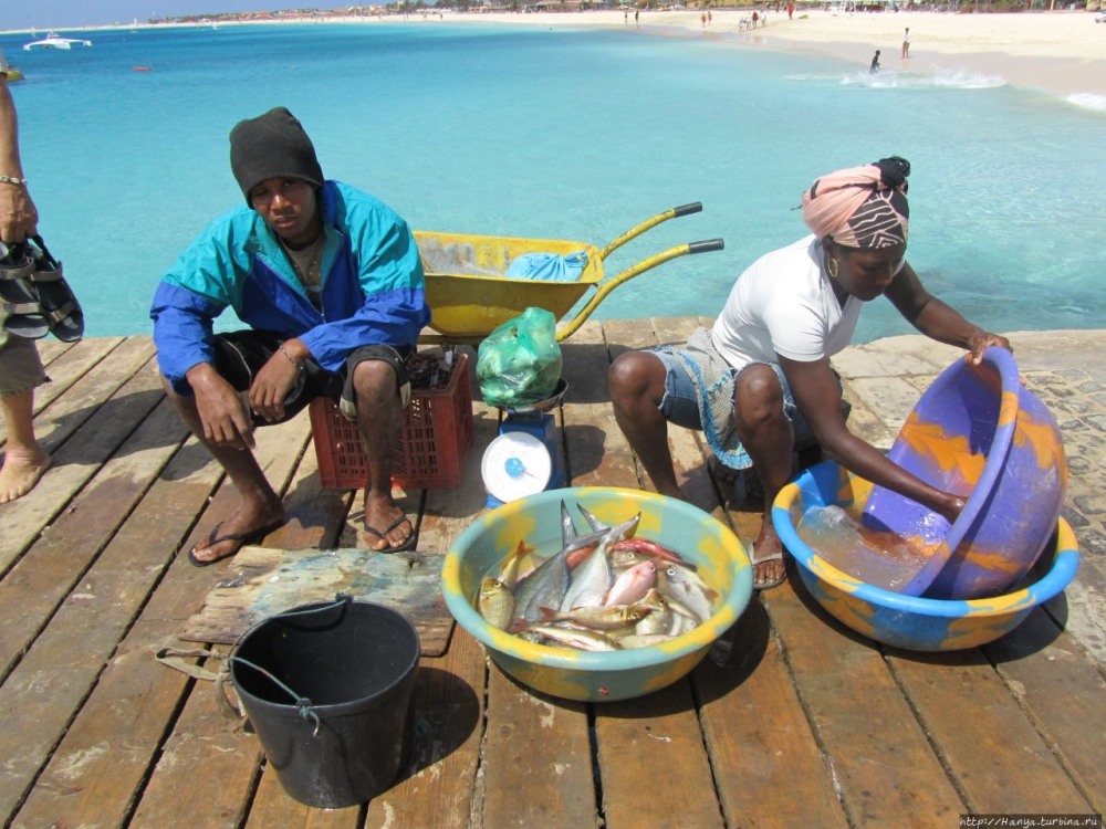 Брелок-пейджер Mongoose LS 9000d