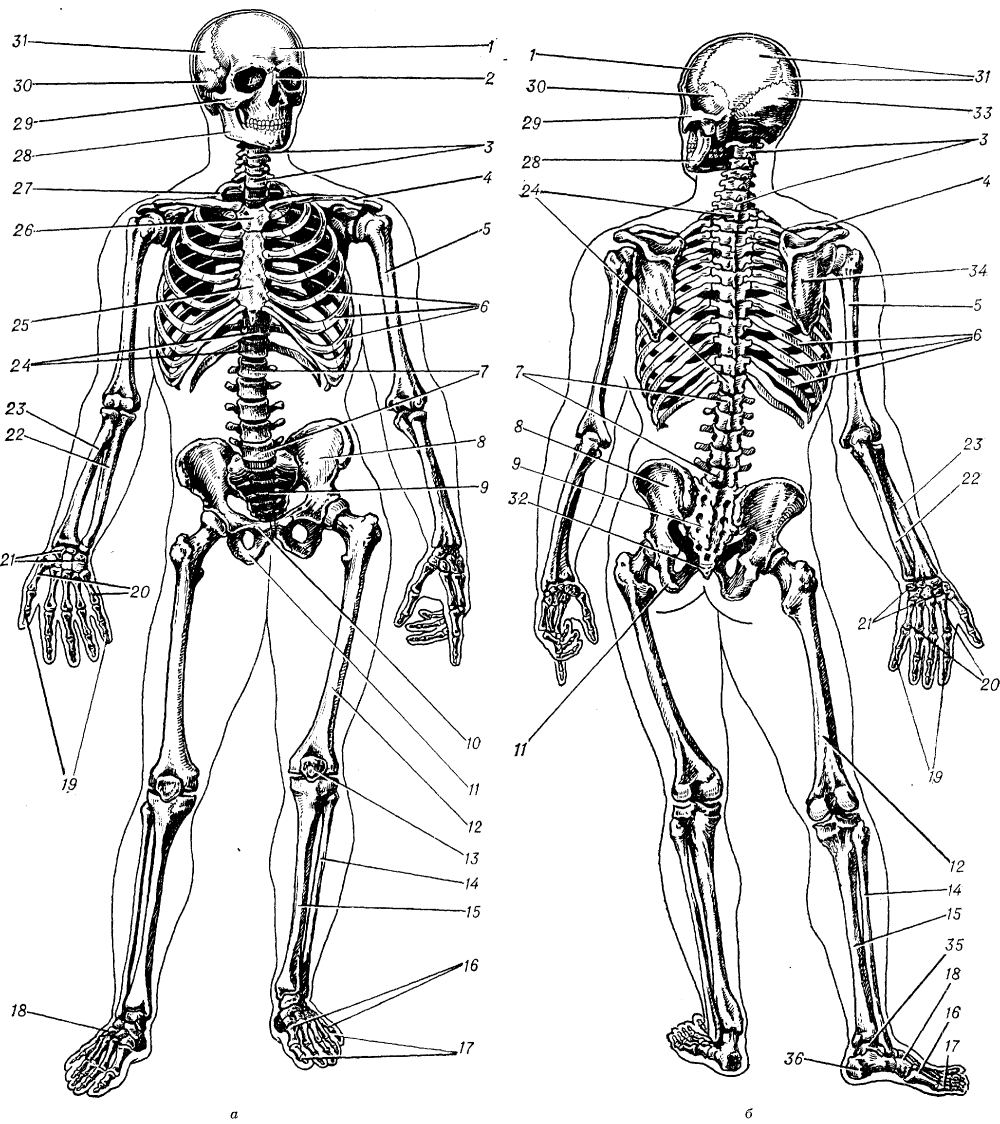 Чёрный фон без всего