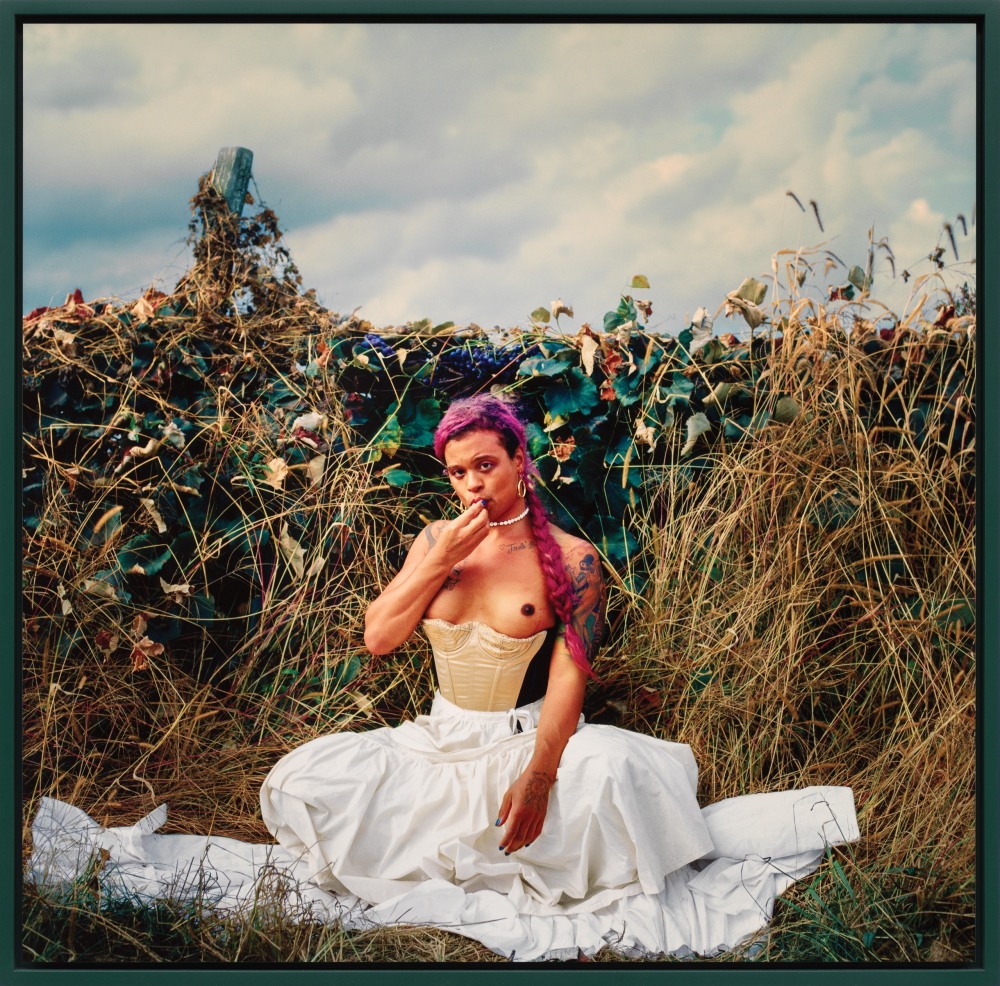 Дакота Джонсон на 50 оттенков темнее