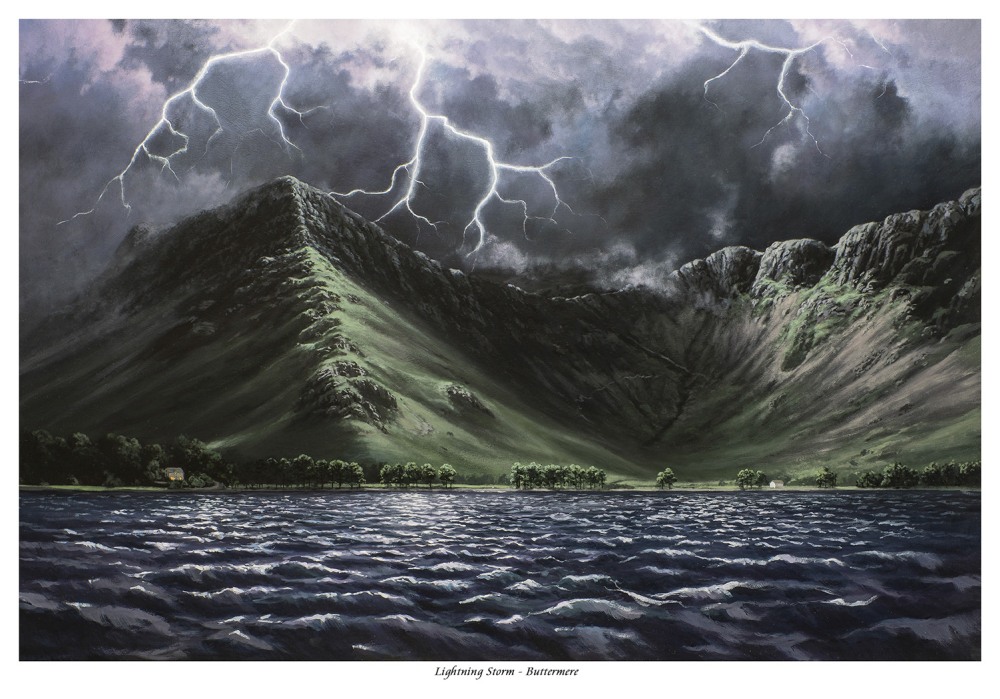 Пляж ла пуш огромное дерево