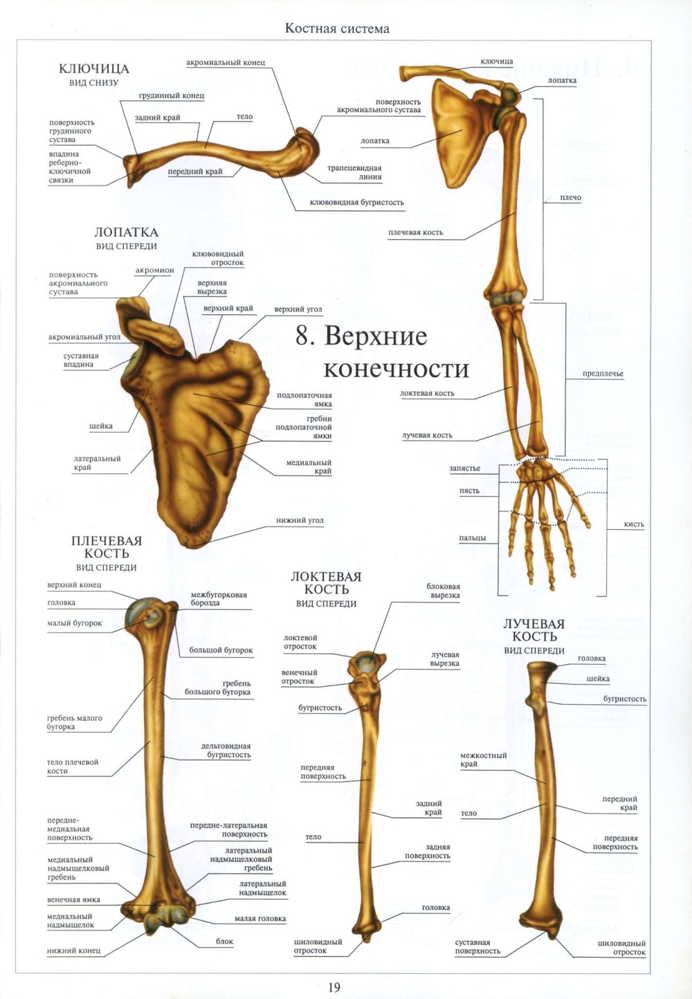 Таблица join SQL