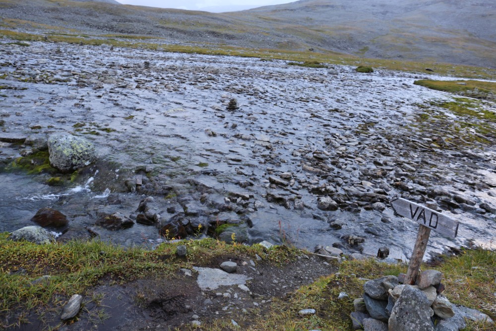 INT Тип данных SQL