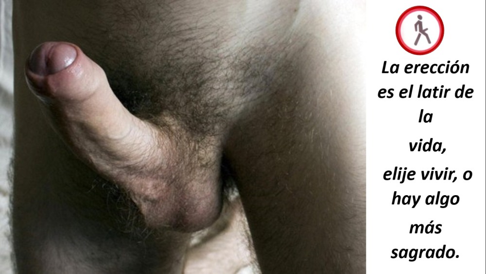 Неэрегированный пенис