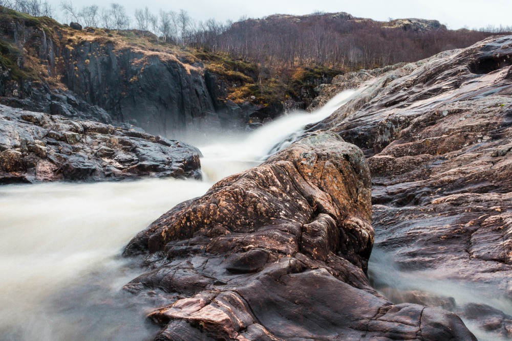 Семга по адмиральски