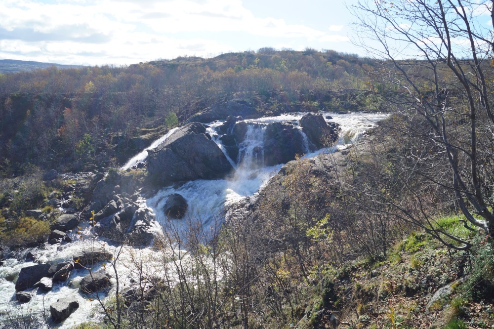 Стешенко Алина (Irelande)