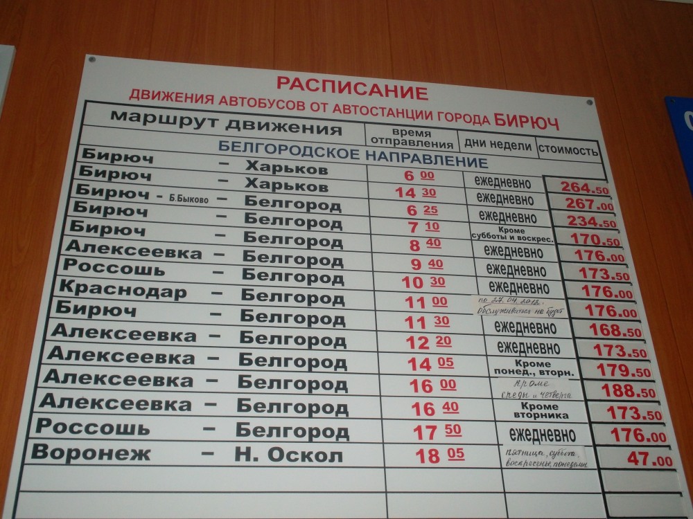 Сливы девочек 14 лет