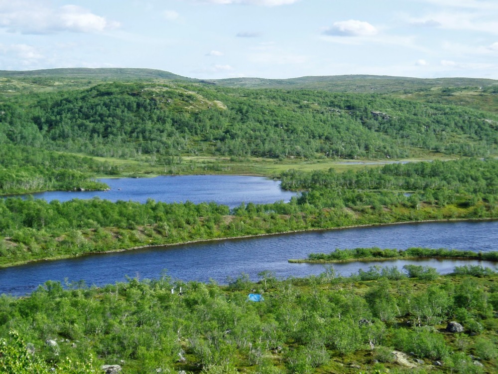 Голое тело без лица