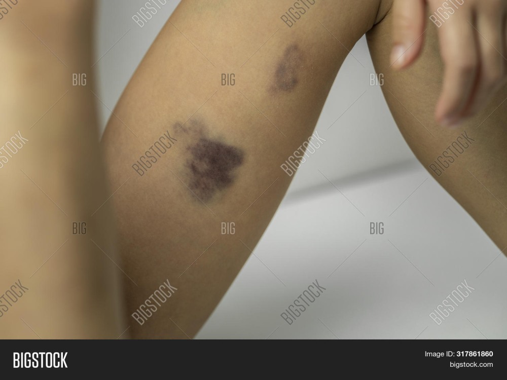 Холли Берри UFC