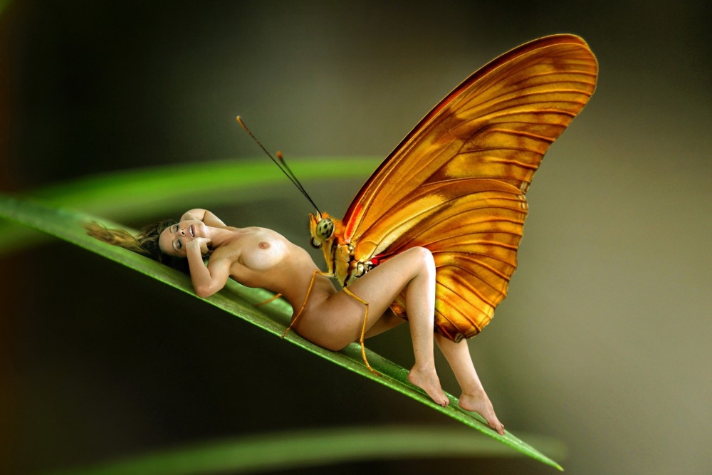 Голая бабочка