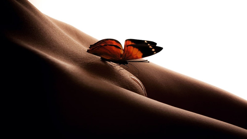 Бабочки свободны голая