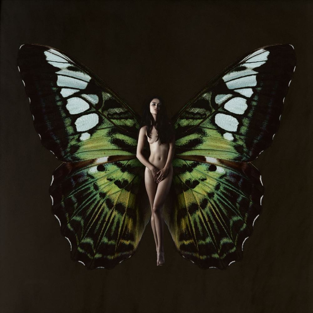 Фэнтези красивые девушки с бабочками