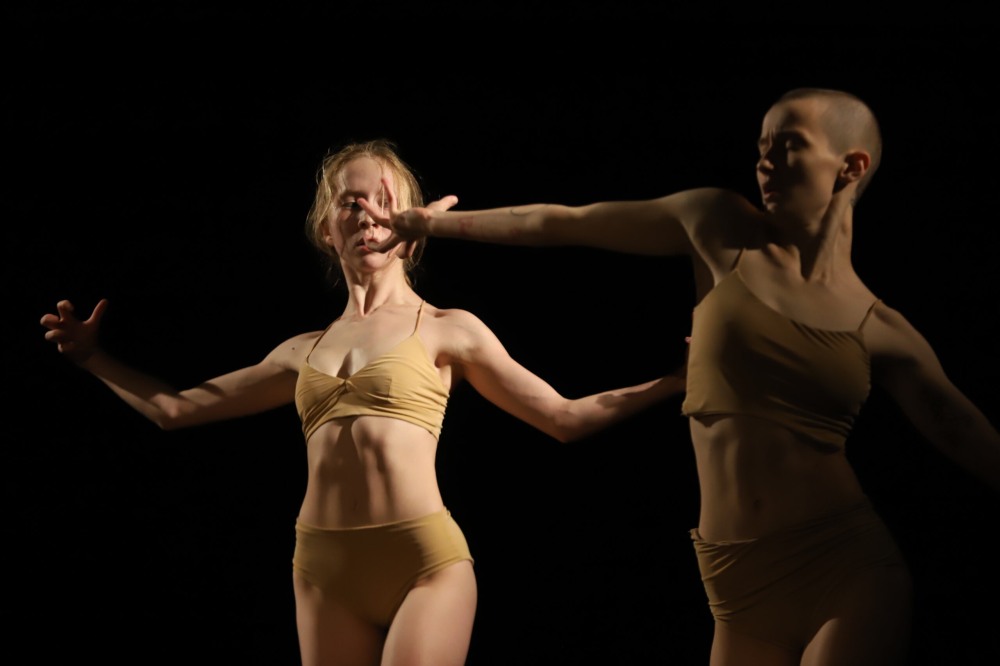 Международное Натуристское танцевальное шоу 2008 torrent