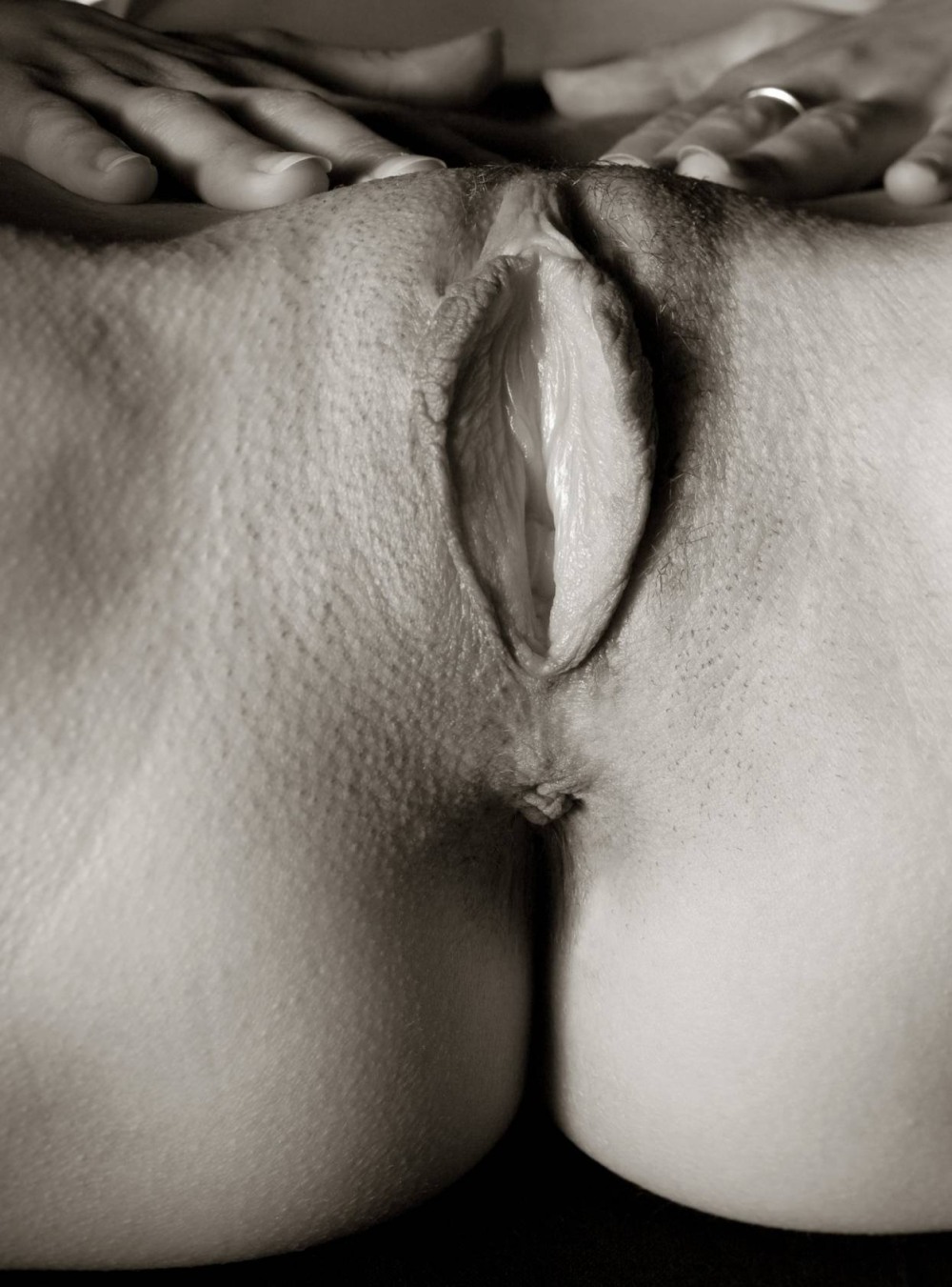 Блэк эбони промежность