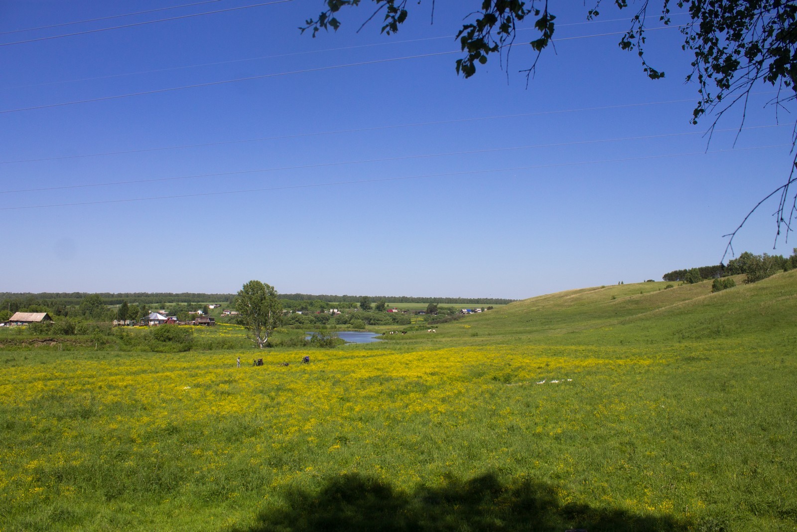 Погода село хмелевка. Новоманошкино. Афонино Заринский район Алтайский край. Новоманошкино фото. Алтайский край Заринский район река хмелёвка.