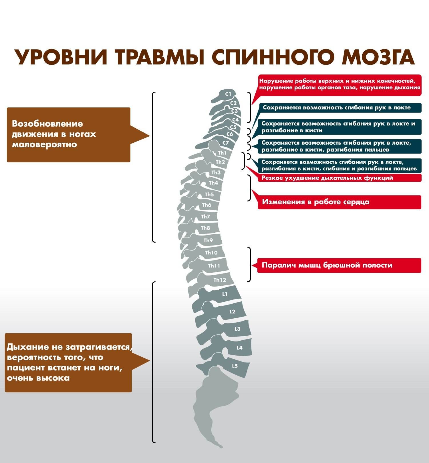 Пониженные сегменты. Разрыв спинного мозга уровень. Травматические повреждения спинного мозга. Травма позвоночника с повреждением спинного мозга. Отделы спинного мозга шейный спинной.