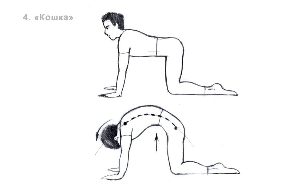 Упражнение выгибание спины