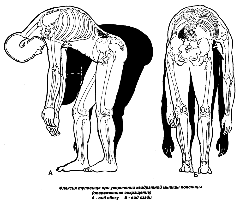 Мамаши с большими задницами