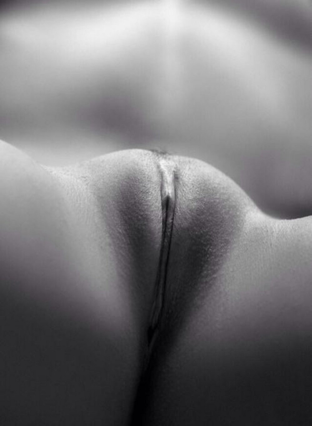 Женские интимные прически