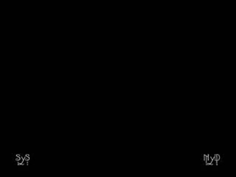 Фотограф Sandra Hoyn