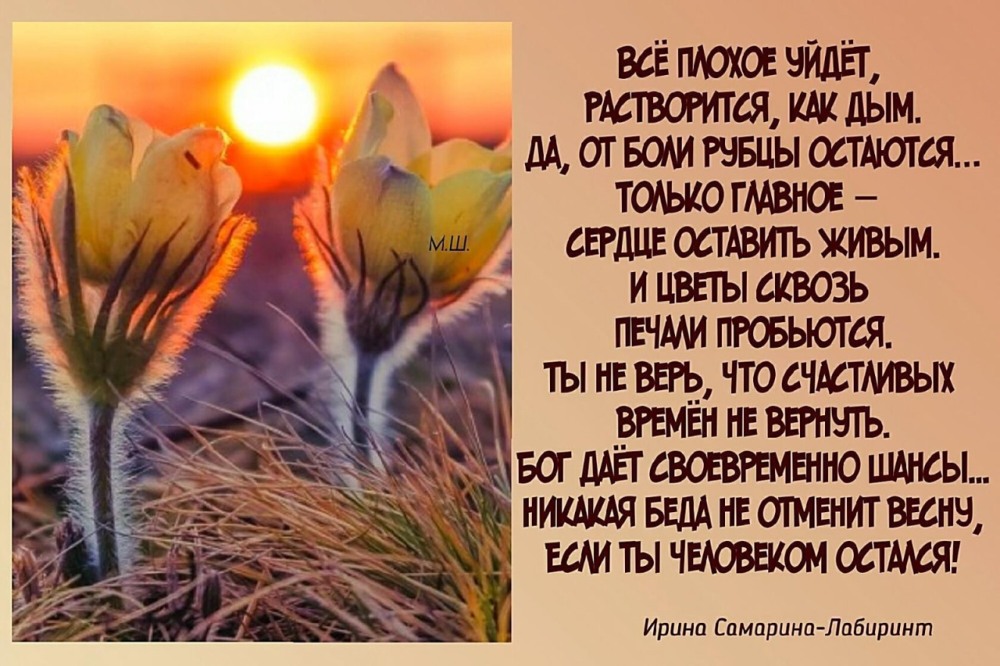 Учительница выложила в сеть